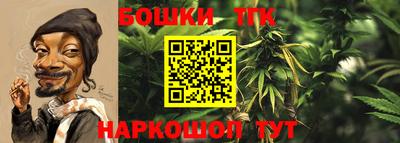 молекула духа Ликино-Дулёво