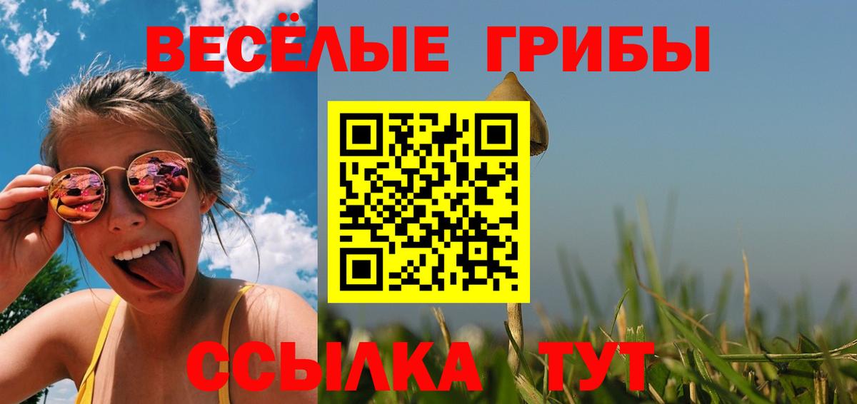 Галлюциногенные грибы ЛСД  Вход с VPN  наркошоп  Ессентуки 